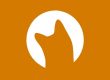 Curious Cat ، كيوريوس كات